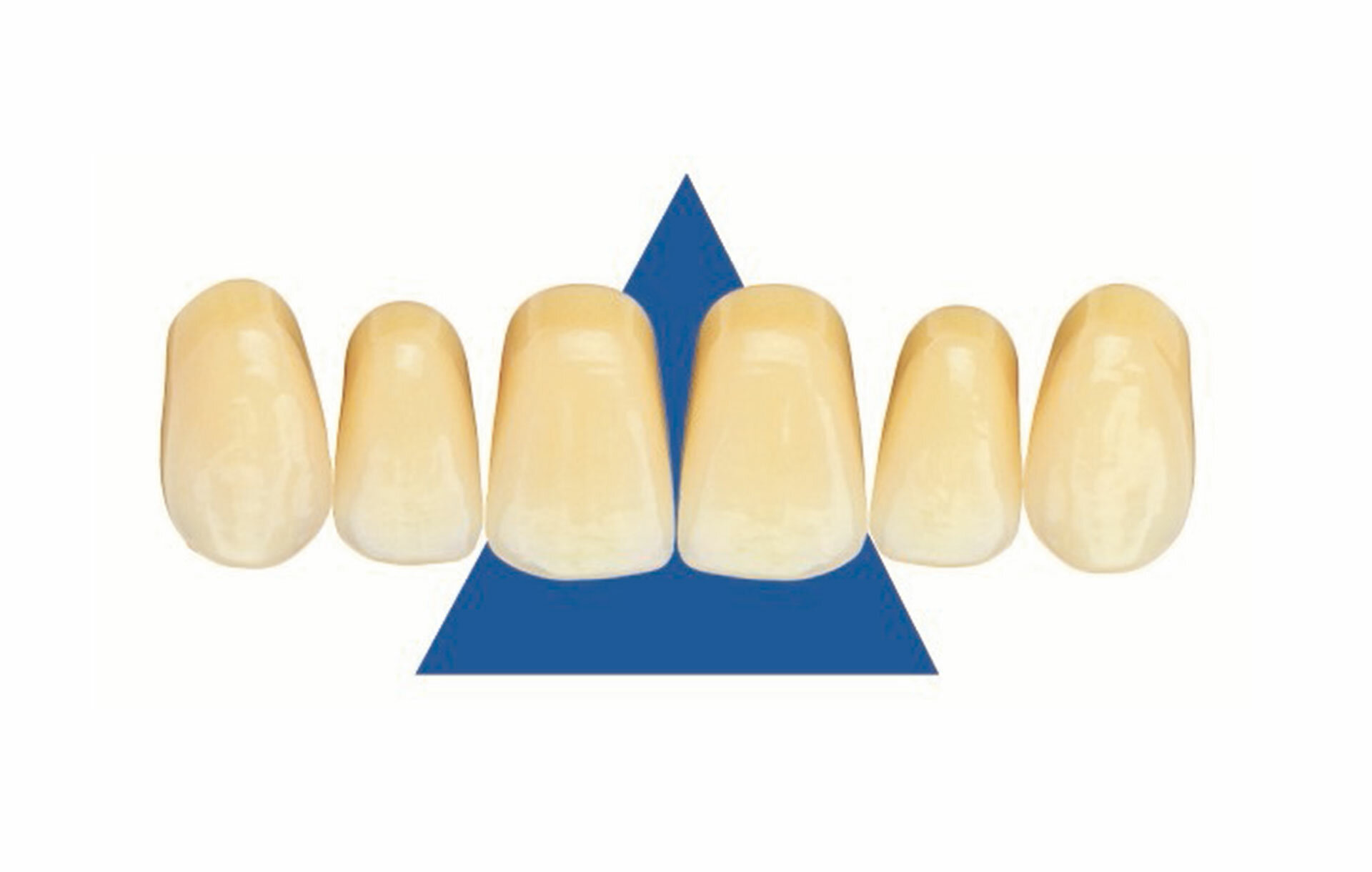 SR Vivodent S PE S DCL Denture Base Material Ivoclar